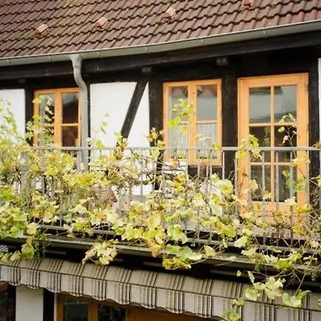 Trosse Kaffetiet - Abc233